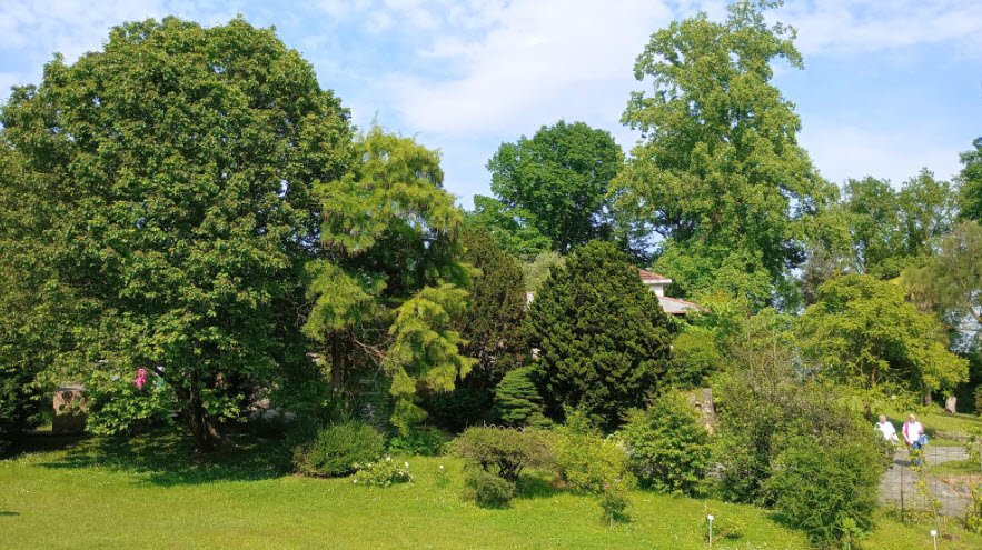 Botanical Garden Rea, Italy